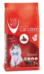 van cat ap5.jpg